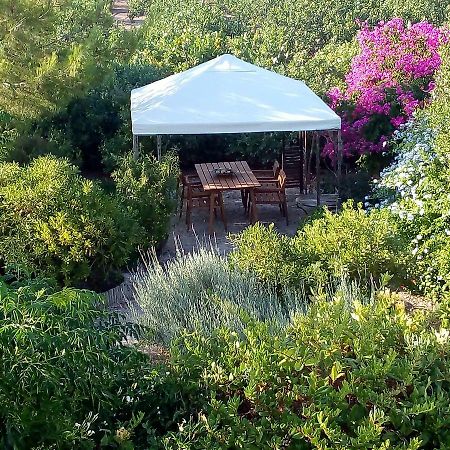 Aegina'S Oasis Villa Eksteriør bilde