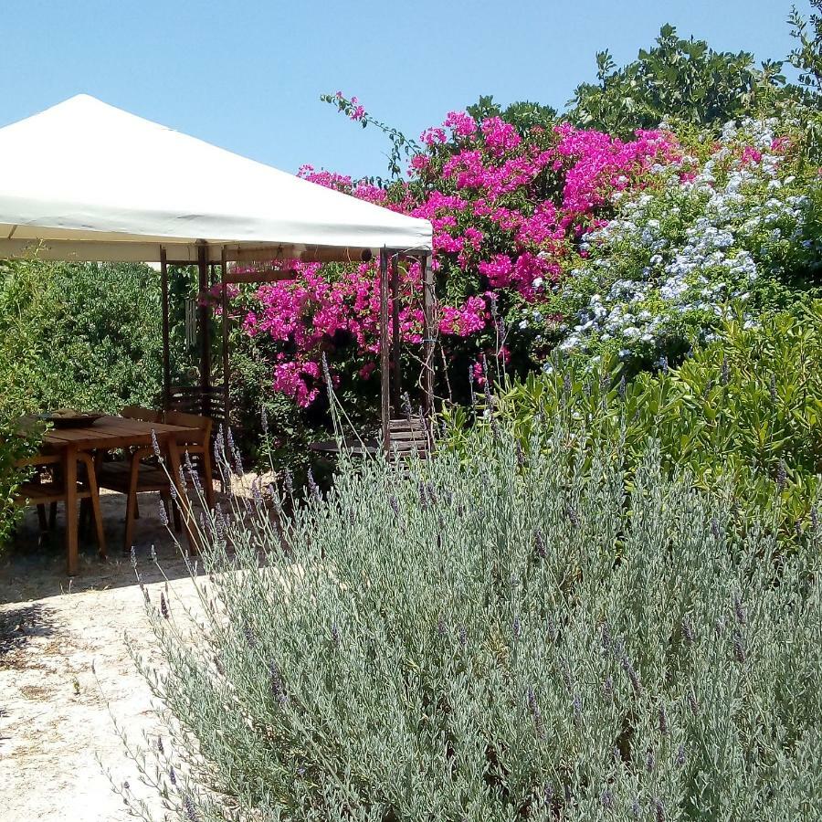 Aegina'S Oasis Villa Eksteriør bilde