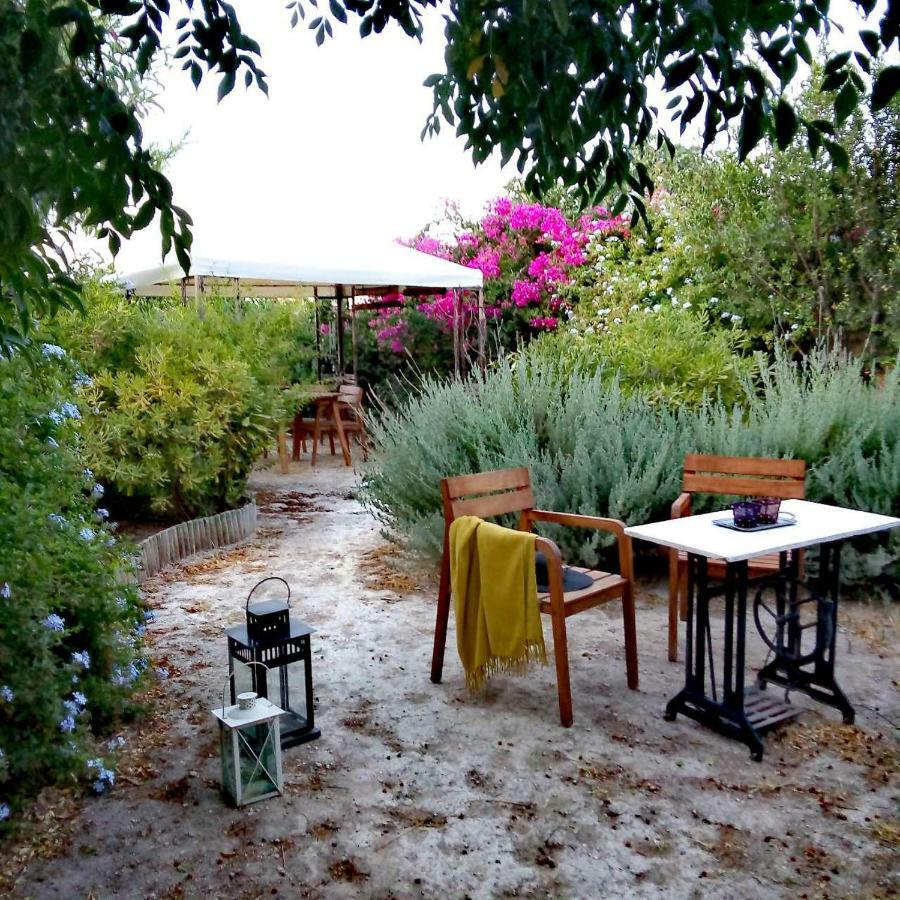 Aegina'S Oasis Villa Eksteriør bilde
