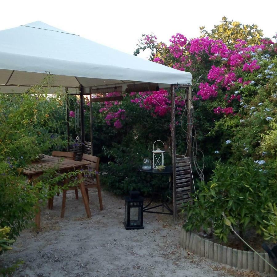 Aegina'S Oasis Villa Eksteriør bilde